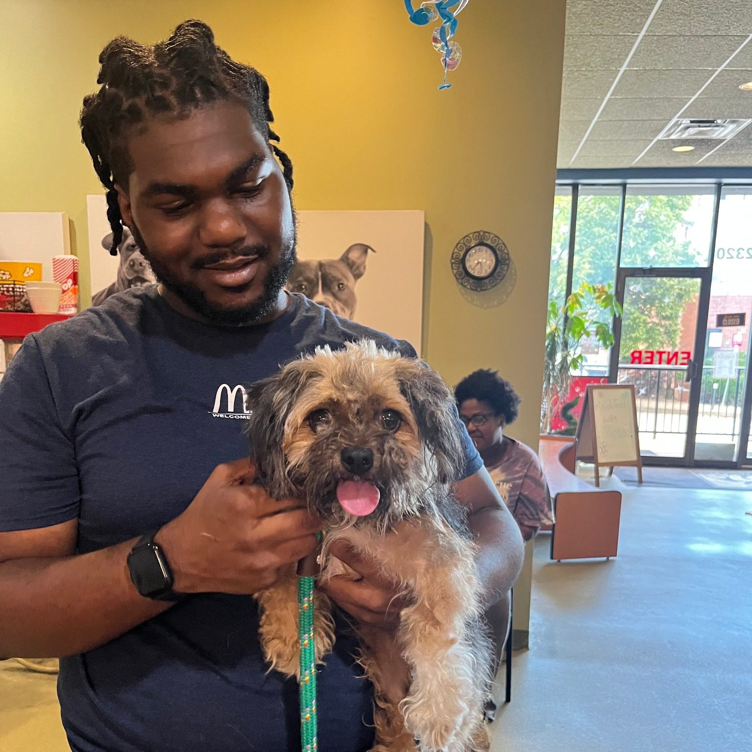 Everything went right after little dog lost more than year reunited with owner