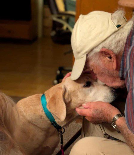 UPDATE: Heartwarming reunion of missing yellow Lab with 93-year-old owner after missing for weeks