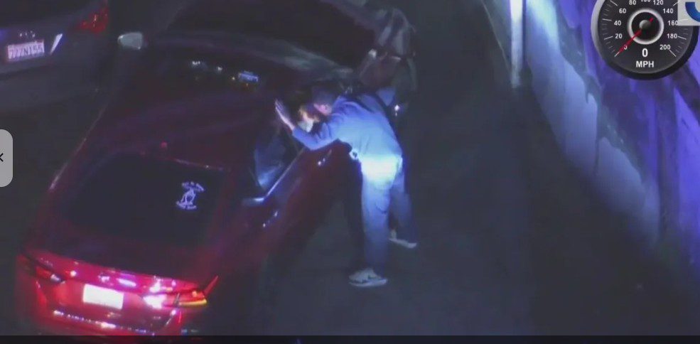 Driver being pursued kissed and hugged dog goodbye before surrendering to deputies