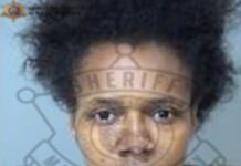 Police recommend felony charges against couple who abandoned five dogs inside apartment for a week with no food or water