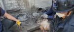 Mischievous Yorkie playing hide and seek under porch needed local firemen to rescue him Mischievous Yorkie playing hide and seek under porch needed local firemen to rescue him