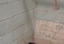 Tearful owner moved to assisted living but shelter life for her dog had been heartbreaking until …