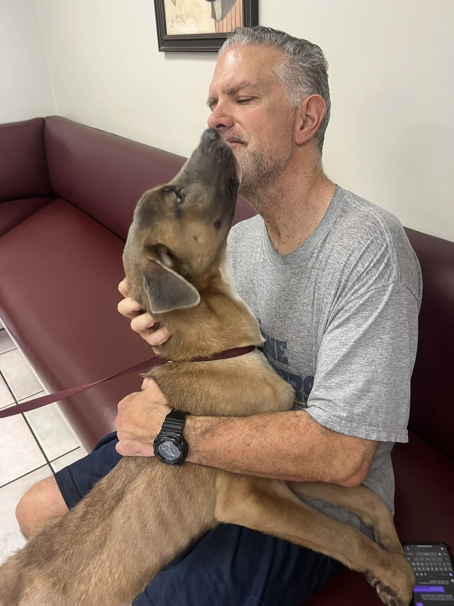 From skin on bones stray dumped on side of road to most grateful dog lavishes rescuer with sloppy kisses