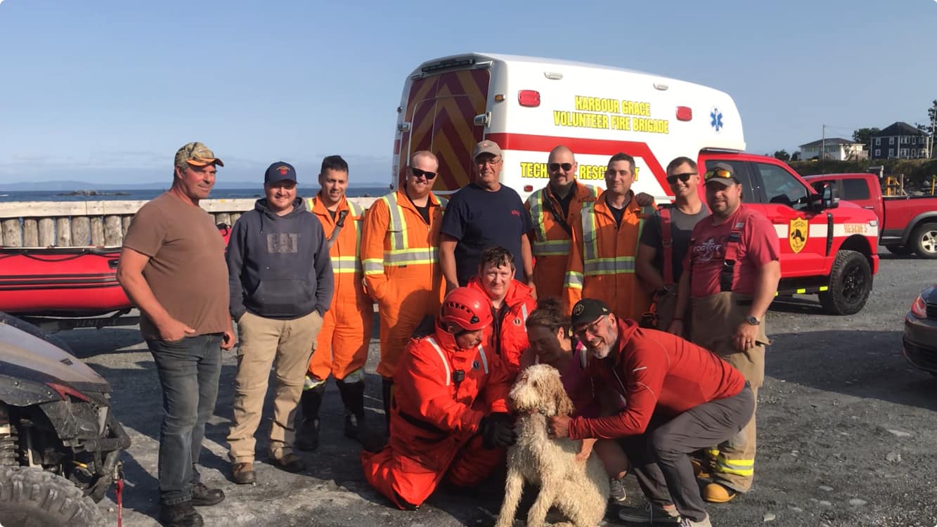 One lucky pup: Golden doodle fell 70 feet off cliff and lived to bark about it