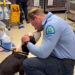 Stray pup with softest eyes found shot multiple times rescued by local St. Louis police officers