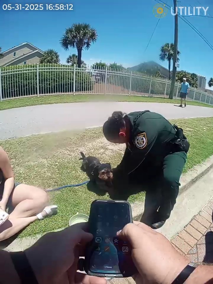 Ma arrested after deputies say he went to beach and left tiny Yorkie inside of 120 degree car Ma arrested after deputies say he went to beach and left tiny Yorkie inside of 120 degree car