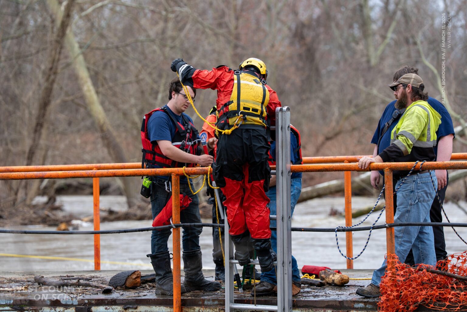 Rescuers use multi-faceted plan saving Rottweiler that fell into creek ...