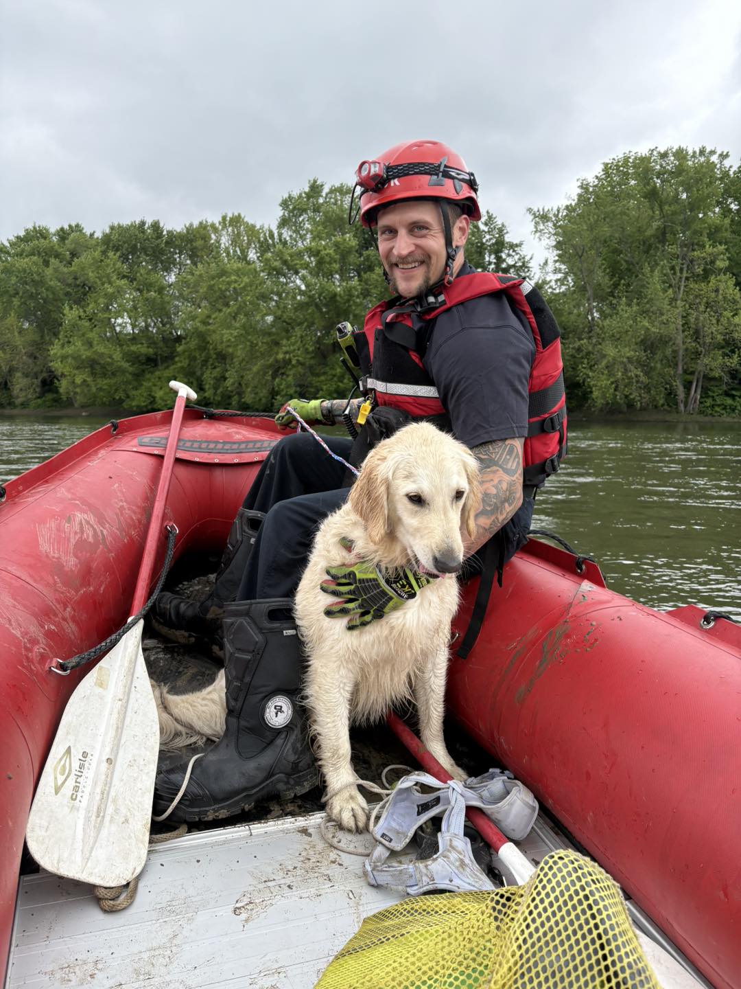 Stressful day for golden retriever after chasing geese into river didn’t turn out so great