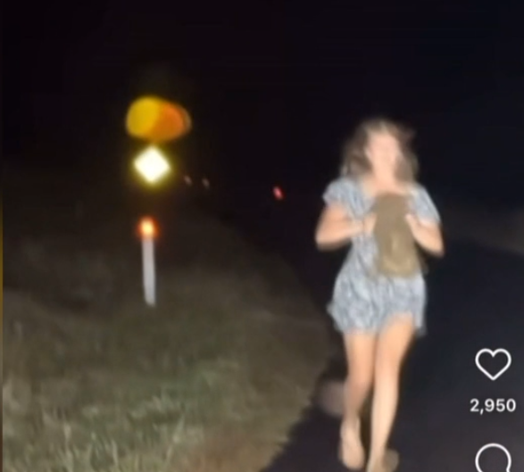 United States ‘influencer’ faces severe backlash after stealing baby wombat from its frantic mother