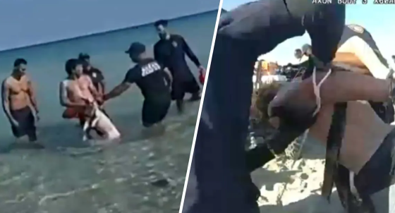 Angry man allegedly trying to drown dog in Miami Beach ocean captured on video