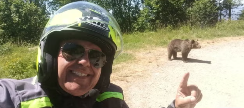 Tourist who posed for selfie with cub dragged into ravine and attacked by mother bear