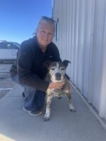 Senior pup reunited with family after lost for 9 years thanks to microchip