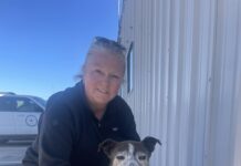 Senior pup reunited with family after lost for 9 years thanks to microchip