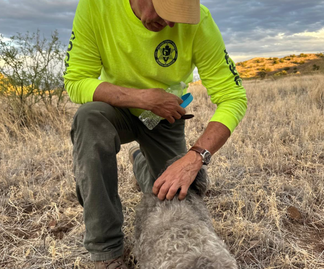 Heartbreaking: Tears as deceased man’s dog stayed with him in remote Arizona desert