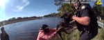 Frenchie pup stranded on small island rescued by deputies and local fishermen Frenchie pup stranded on small island rescued by deputies and local fishermen