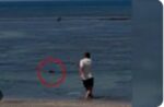 Seattle man detained in Hawaii for allegedly throwing rock at endangered monk seal