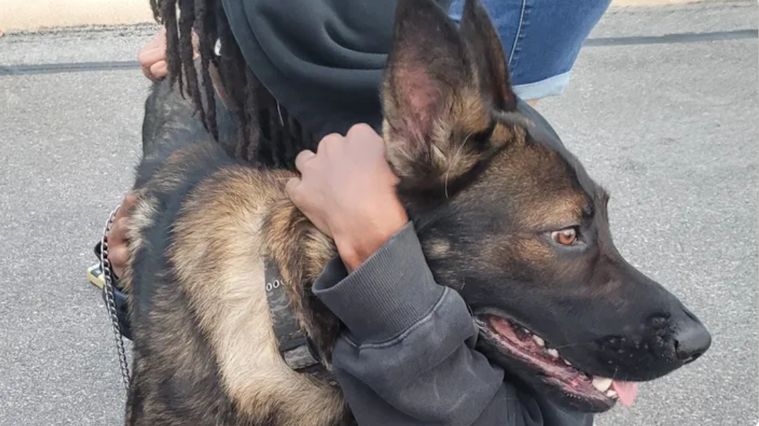 Homeless teen chose to stay on the streets instead of being forced to surrender his dog Homeless teen chose to stay on the streets instead of being forced to surrender his dog