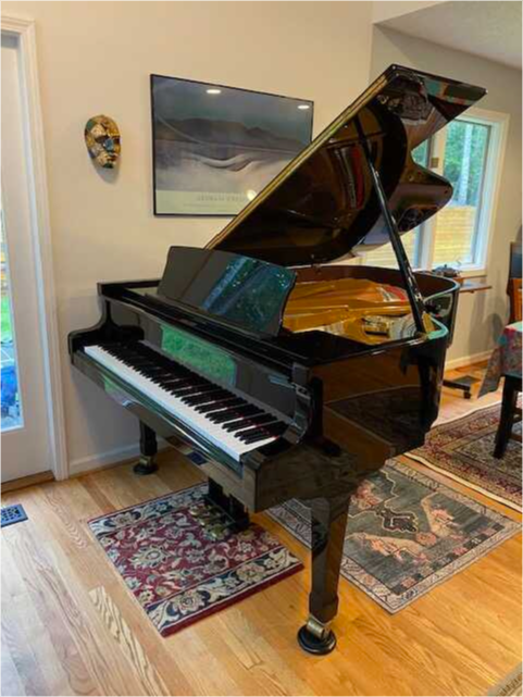 Petrof III (6'4") Grand Piano for Sale 