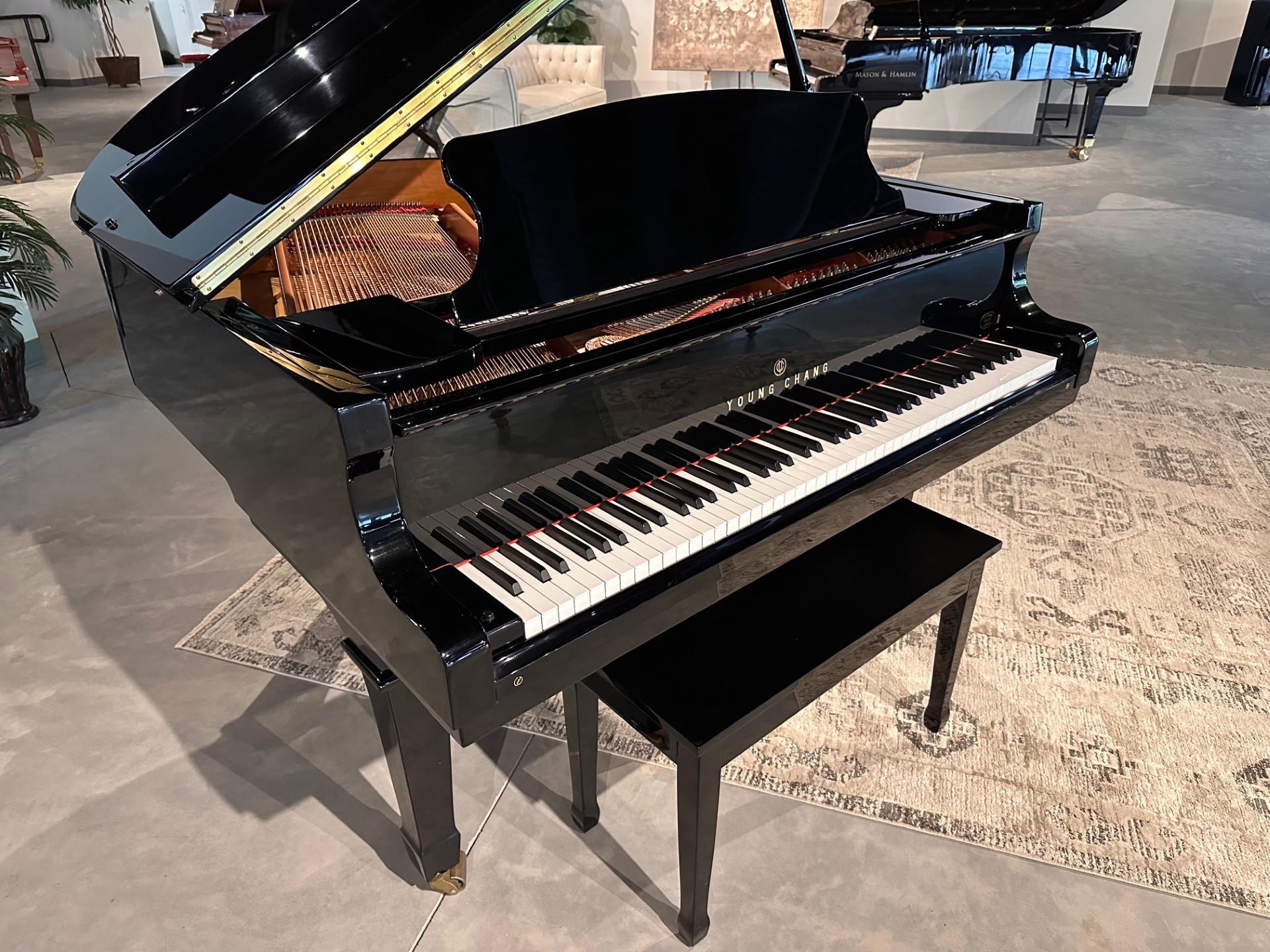 Young Chang Pramberger PG-150 Baby Grand