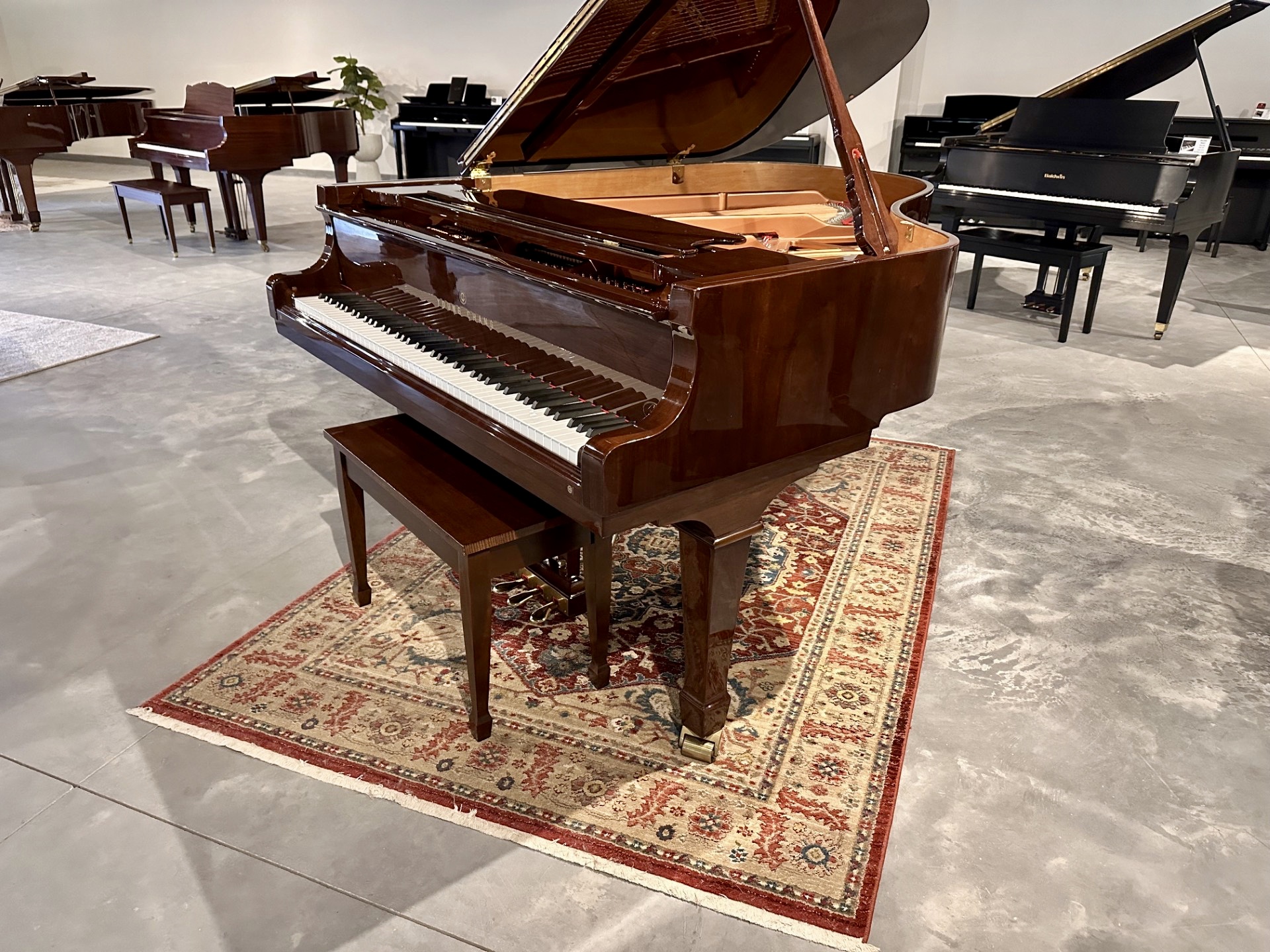 Young Chang Pramberger PG-185 Parlor Grand