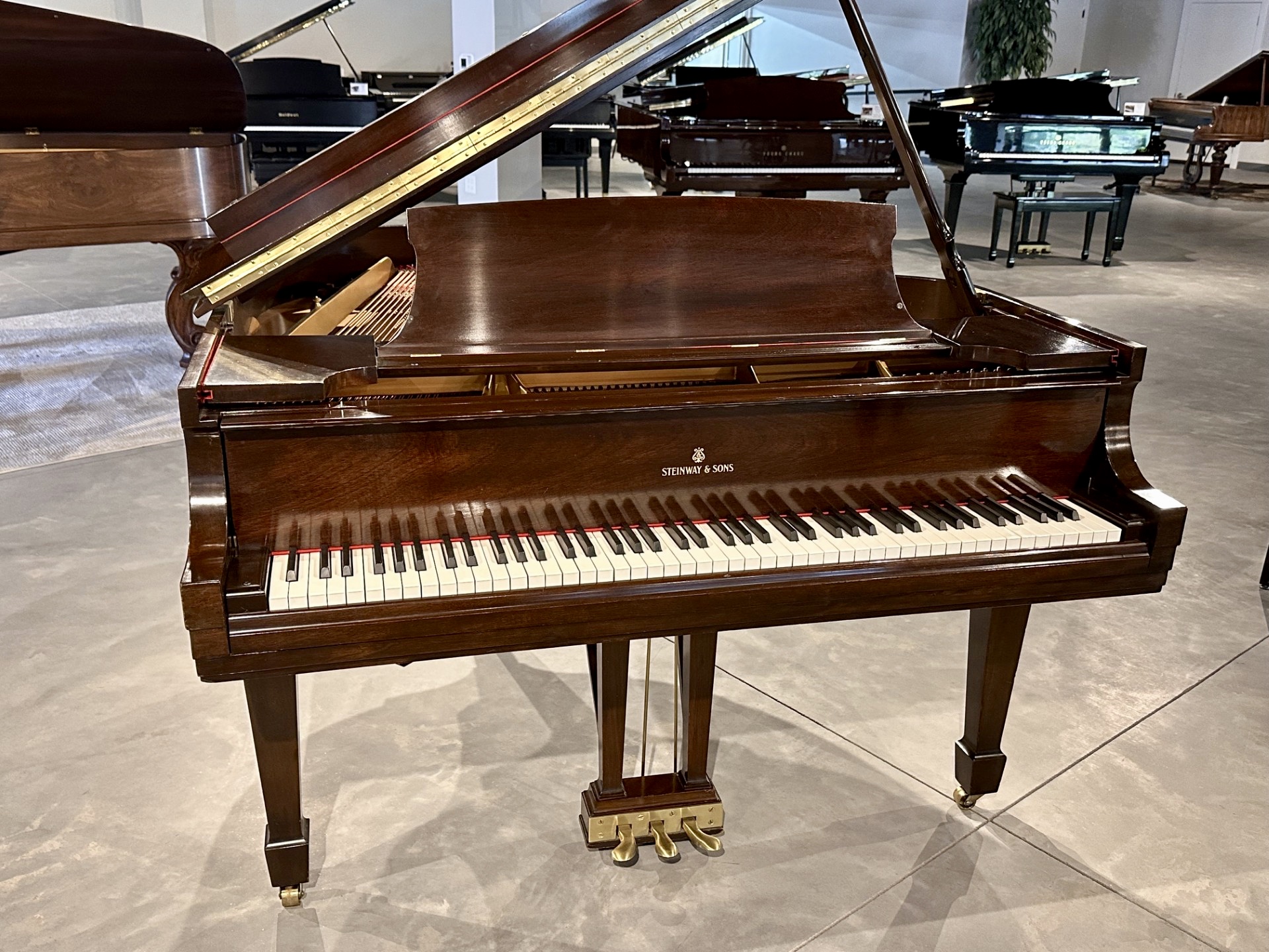 Steinway & Sons Model S Rosewood