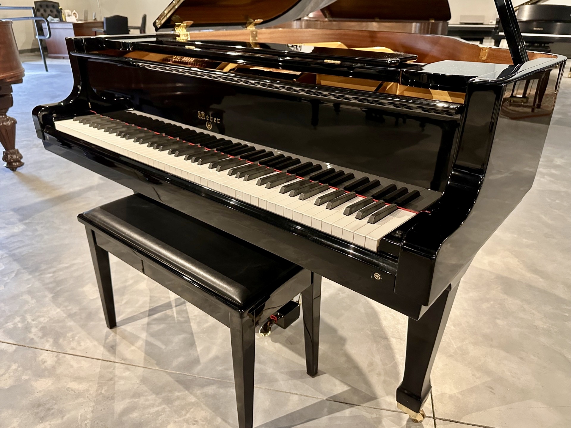 Weber WG Baby Grand