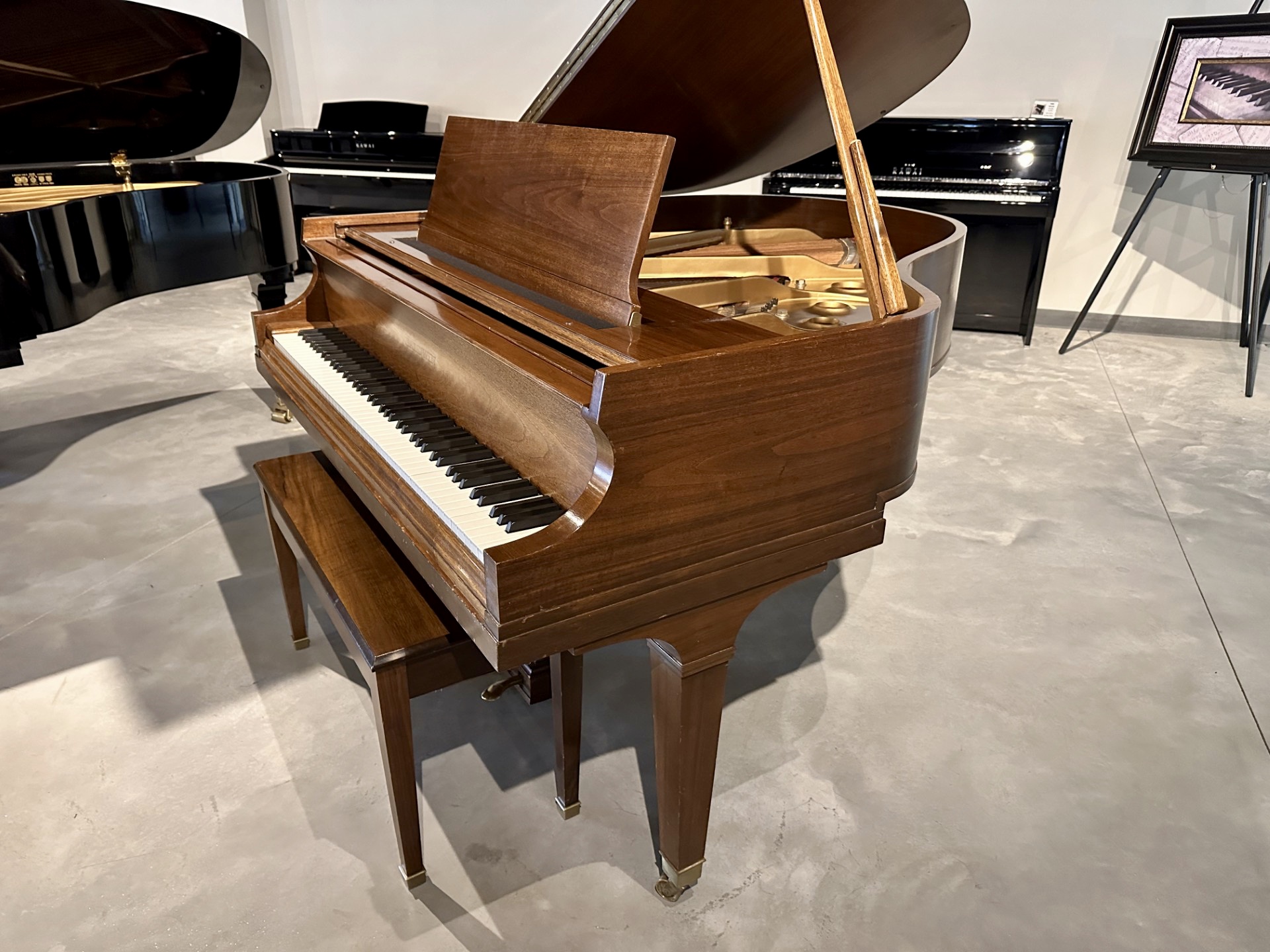 Baldwin Model M Artist Series