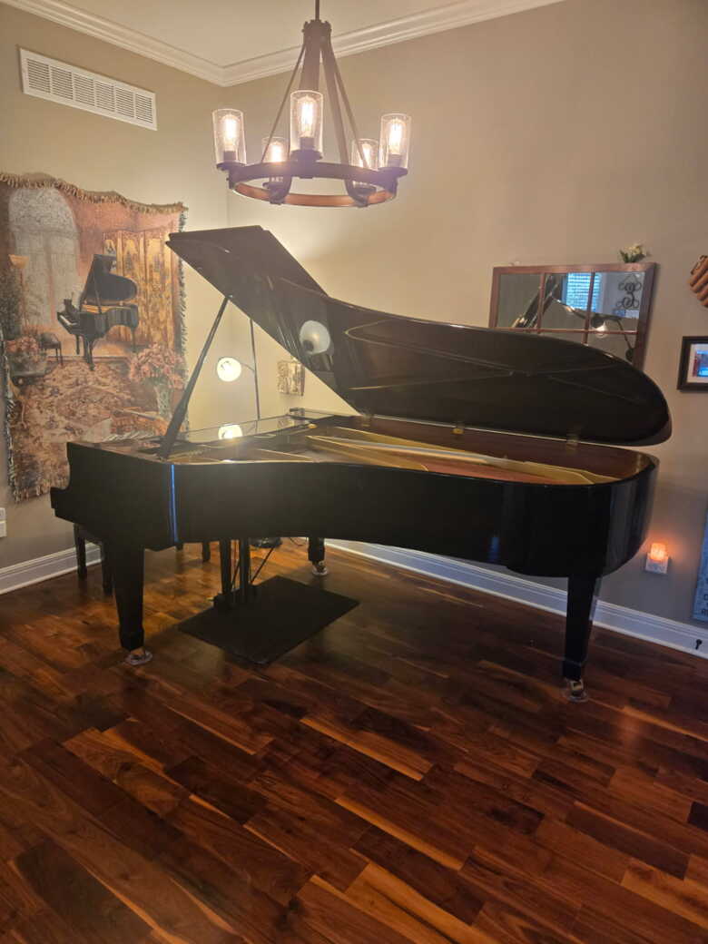 Immaculate  condition 