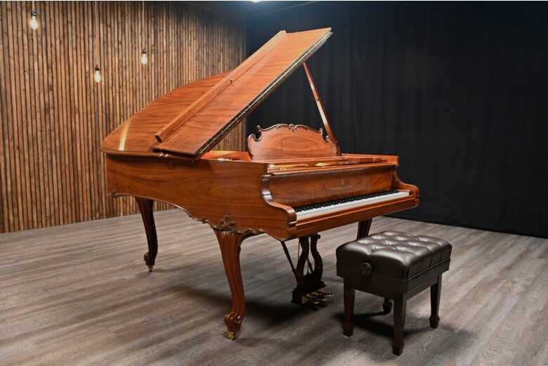 Steinway & Sons L Parlor Grand Piano Art Case