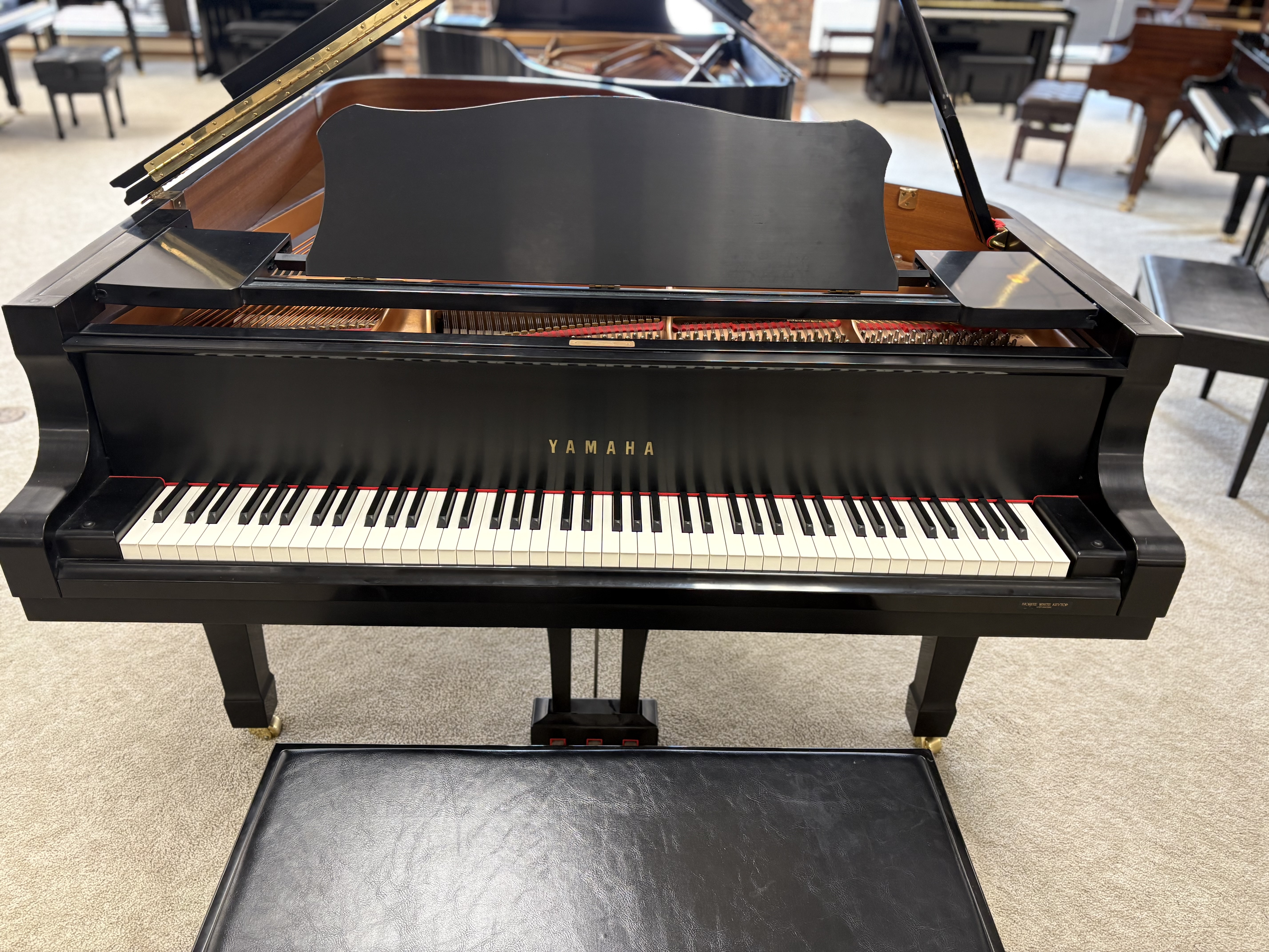 Yamaha C6 - Very Nice Condition