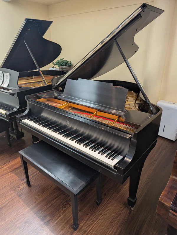 Steinway & Sons Model M 