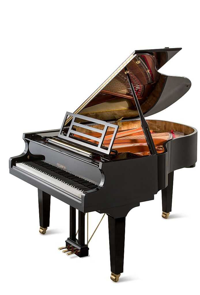 New Feurich 179 Dynamic II - 2021, Grand piano
