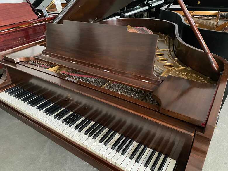 Steinway M Baby Grand (Just Reduced!)