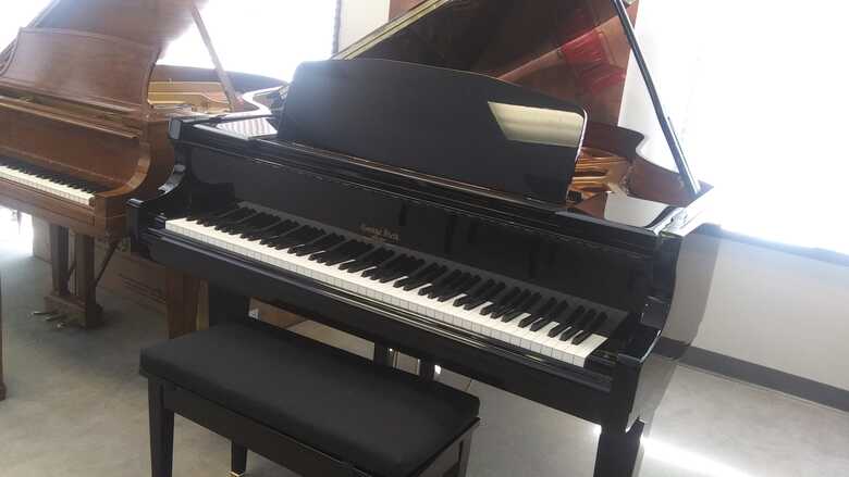 George Steck GS-87 Grand Piano w/Player System
