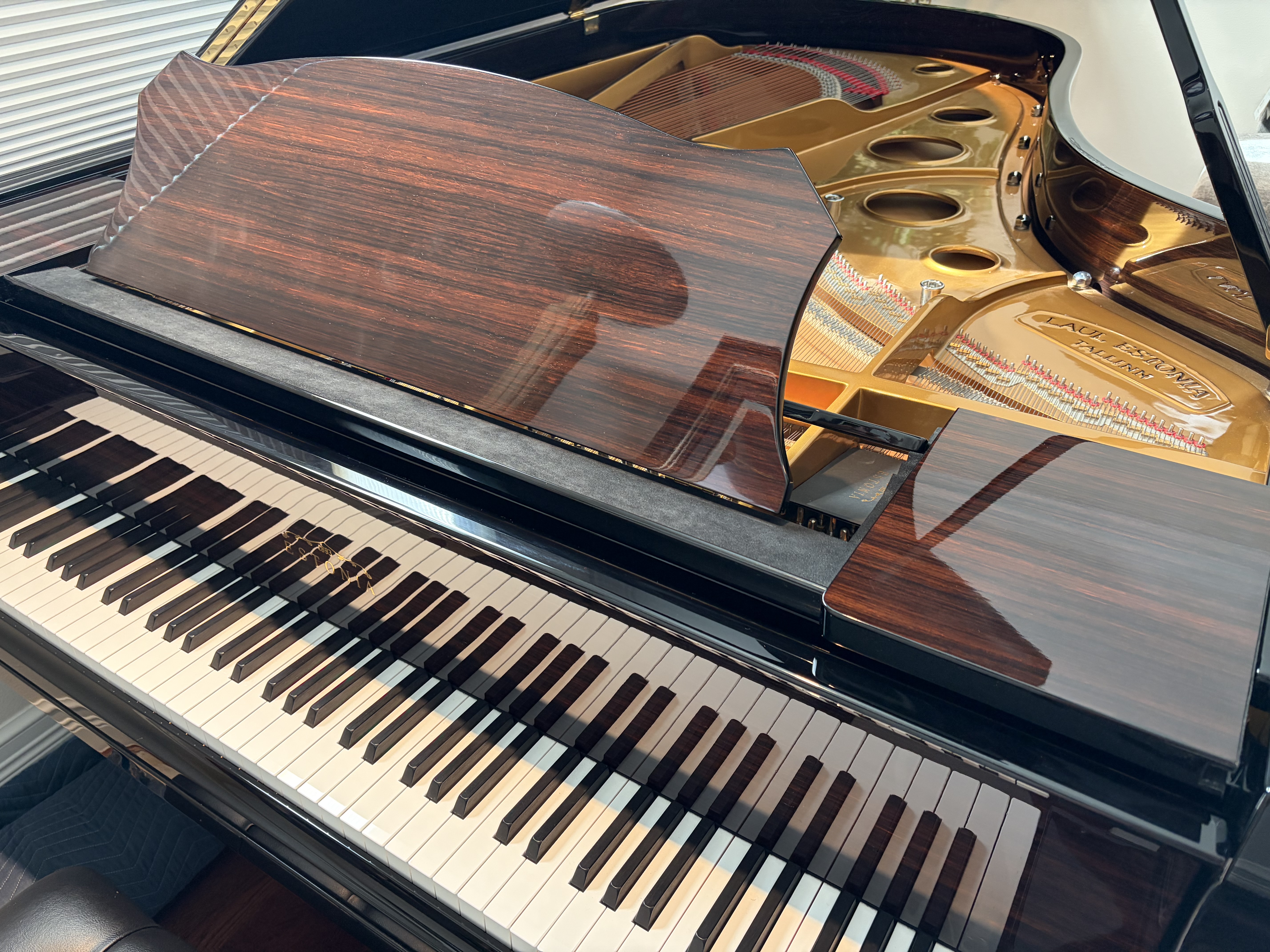 Estonia L210 Artist Grand Hidden Beauty Ebony w/ Macassar