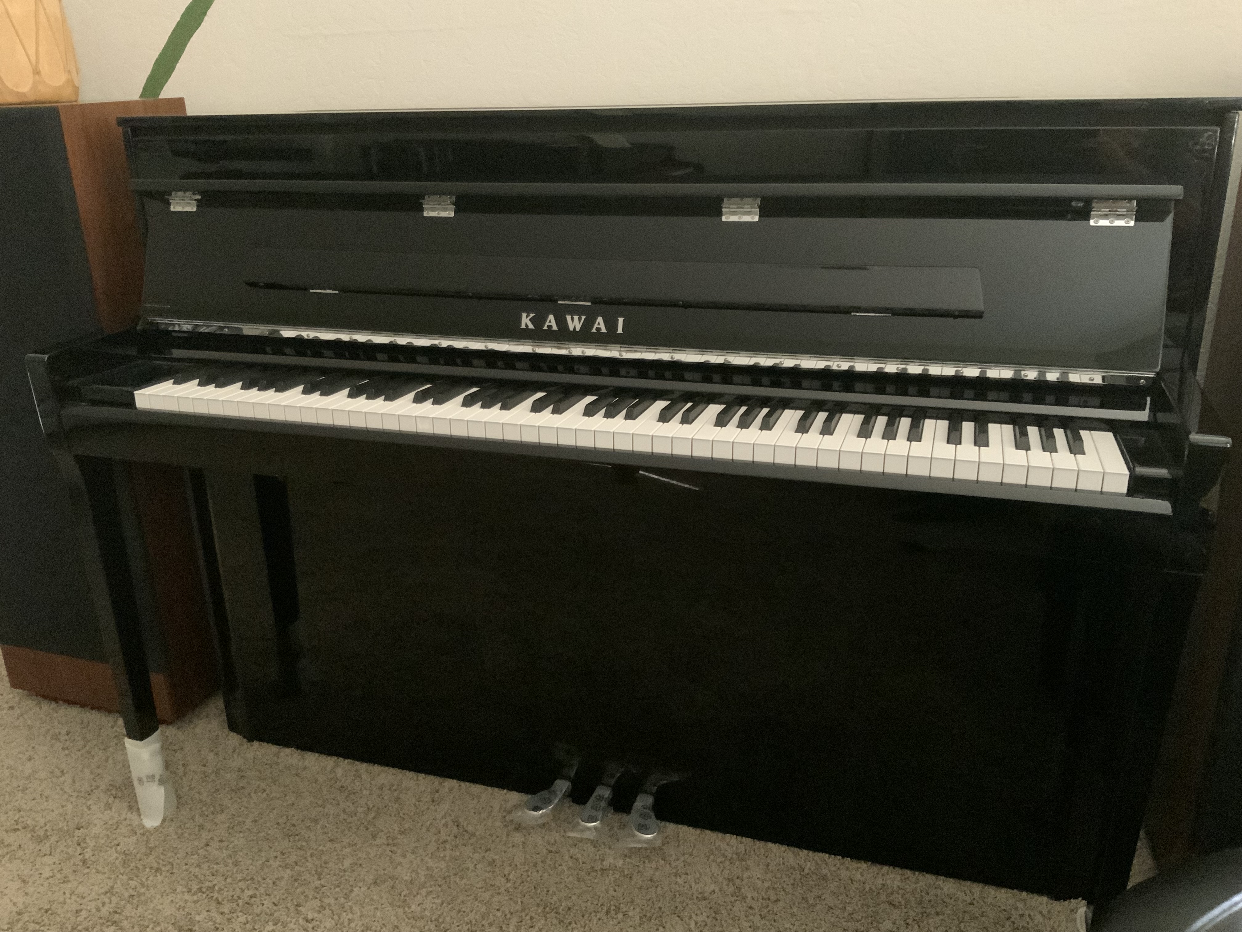 Kawai Hybrid NV5S 