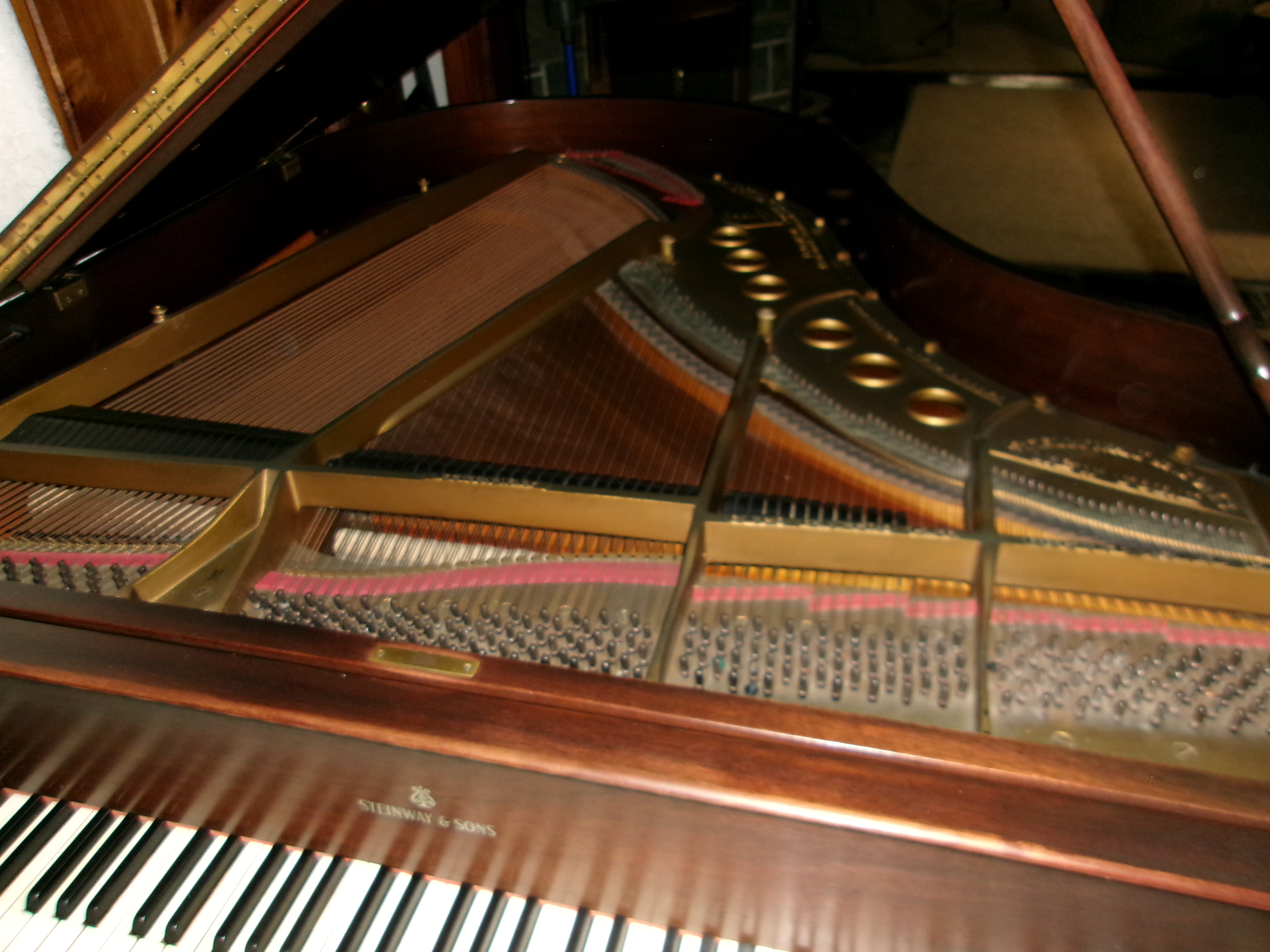 Steinway M Grand Piano