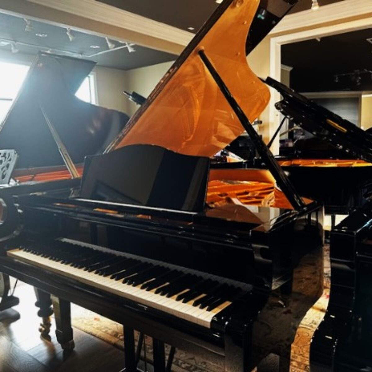 Beautiful Used Blüthner Grand