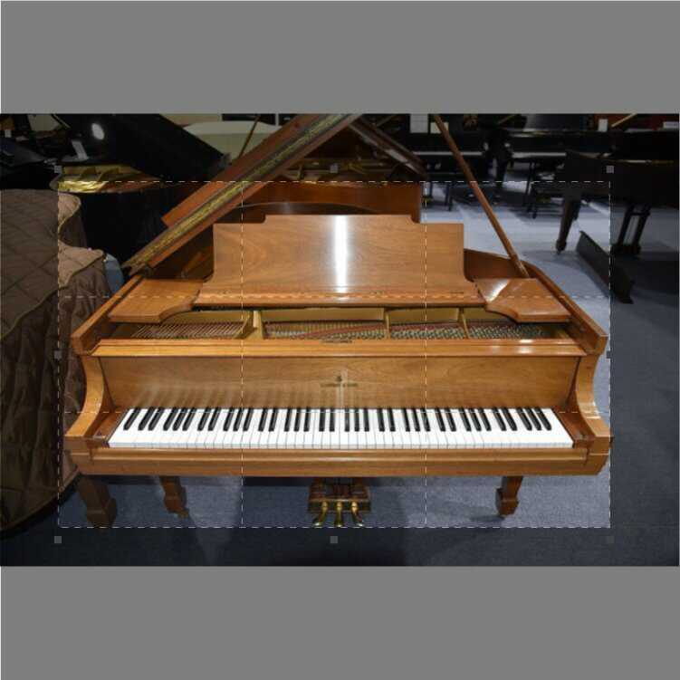 A Great Piano at a Great Price! 