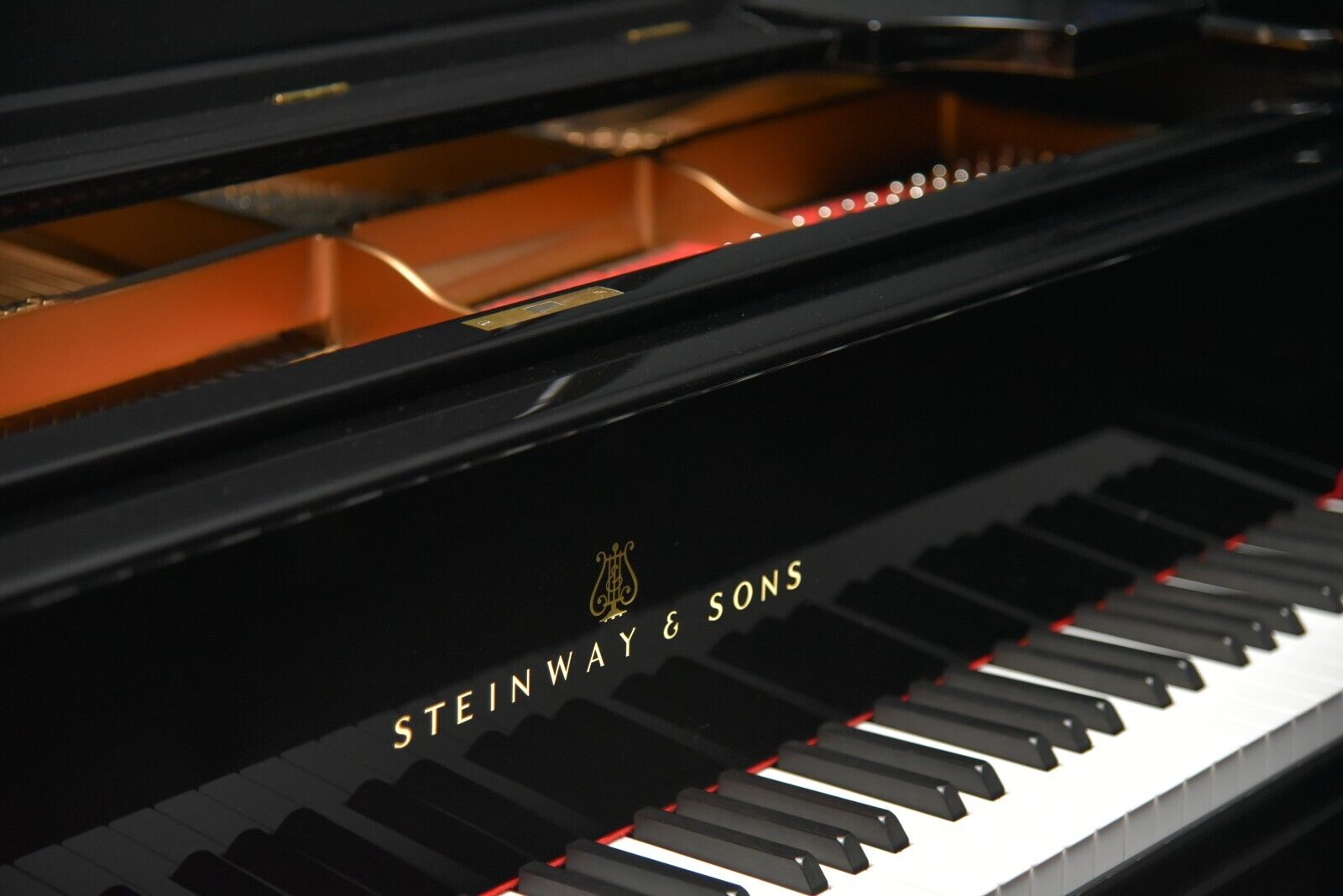 Steinway AIII (6' 4 1/5") 1916 High Polish Ebony Rebuilt to 