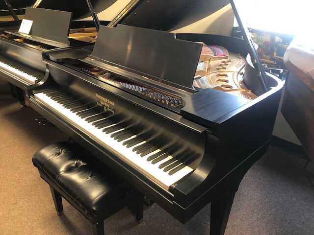 Steinway M- newly restored