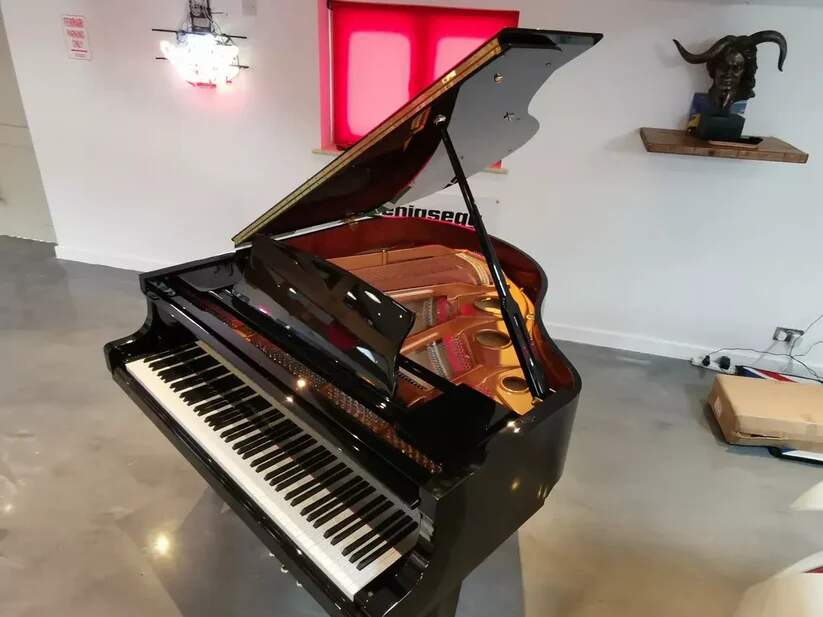 Luxury Self-Playing Baby Grand Piano | Full Self Play System