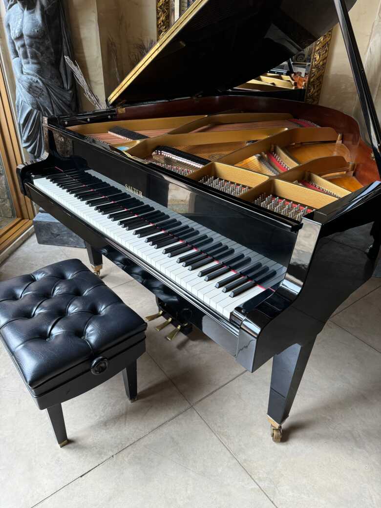 C.Sauter grand piano