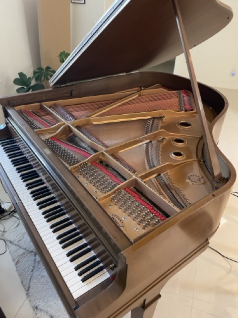 A True Classic Baby Grand