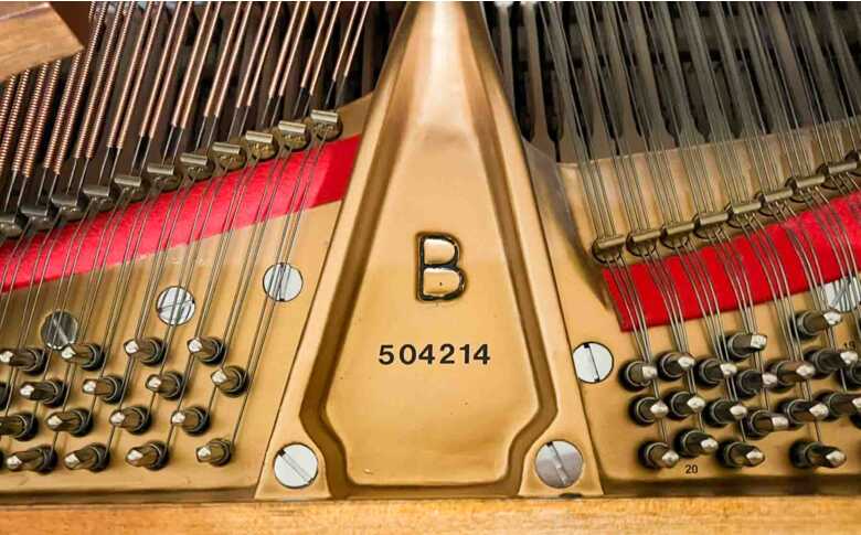 Un-used, One Owner STEINWAY & SONS Model B 6'11" Grand Piano