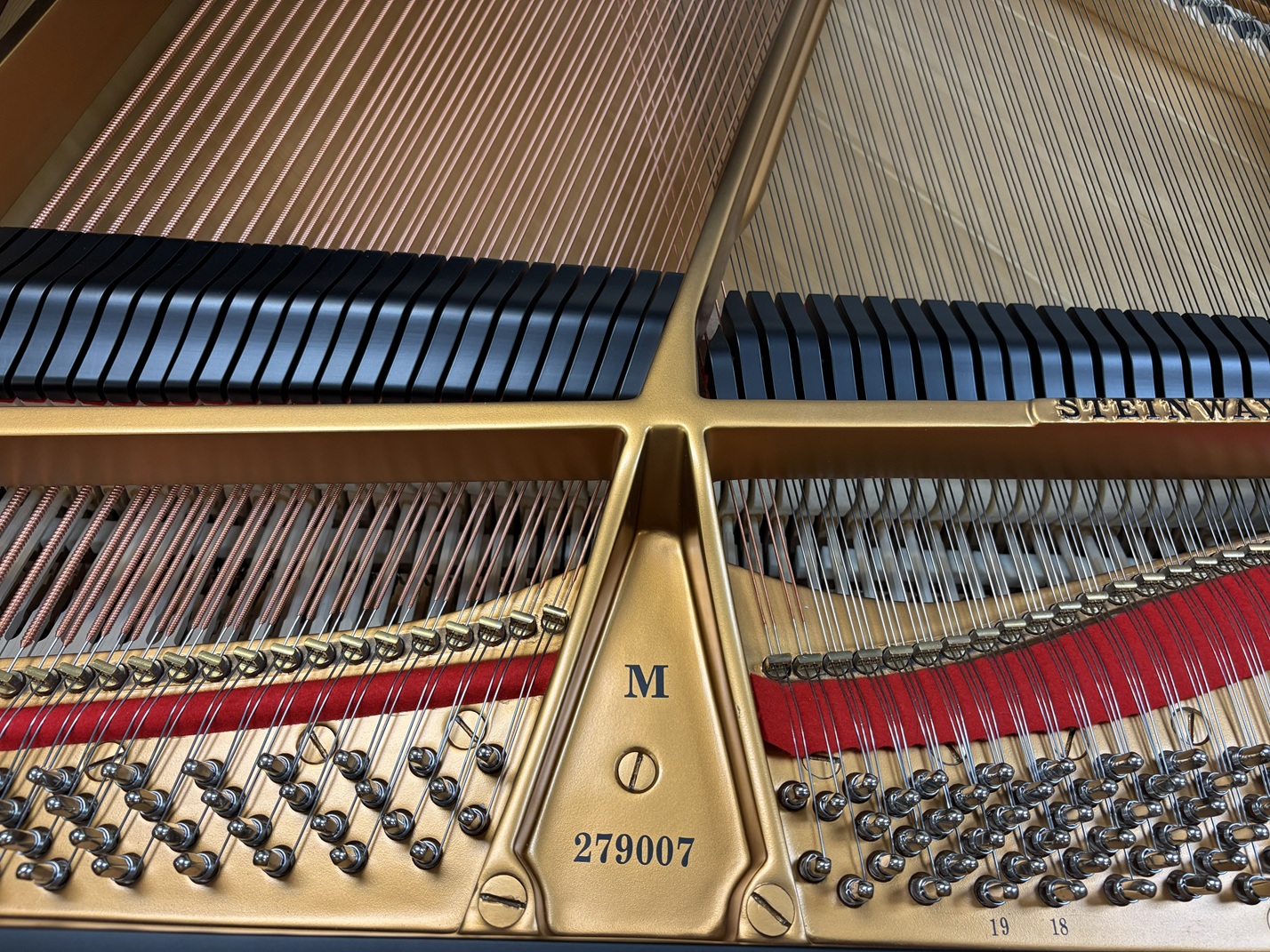 Gorgeous STEINWAY & SONS Model M 5'7" grand piano