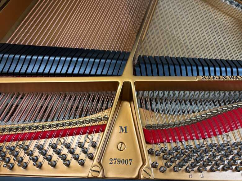 Gorgeous STEINWAY & SONS Model M 5'7" grand piano