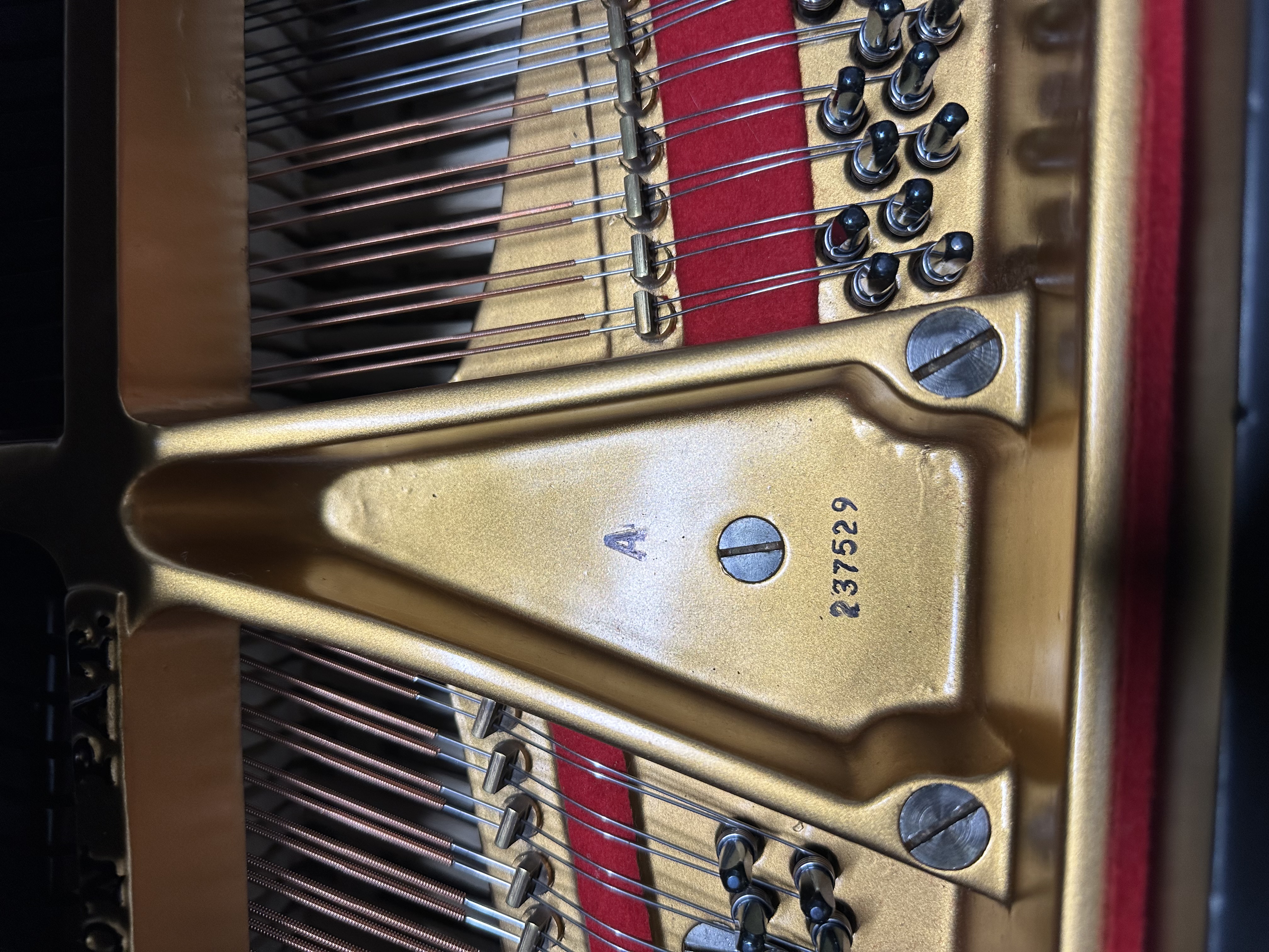 Steinway modal M totally restored