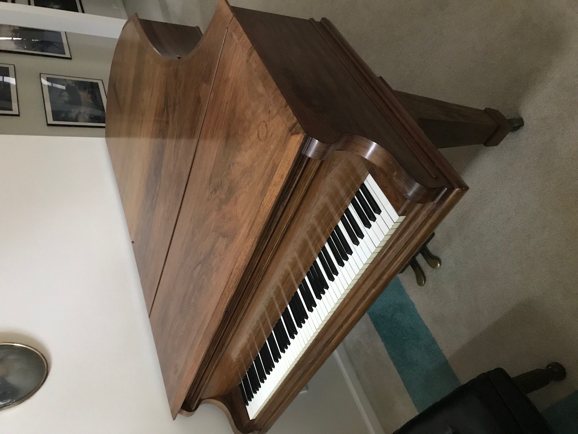 Beautiful Bechstein V