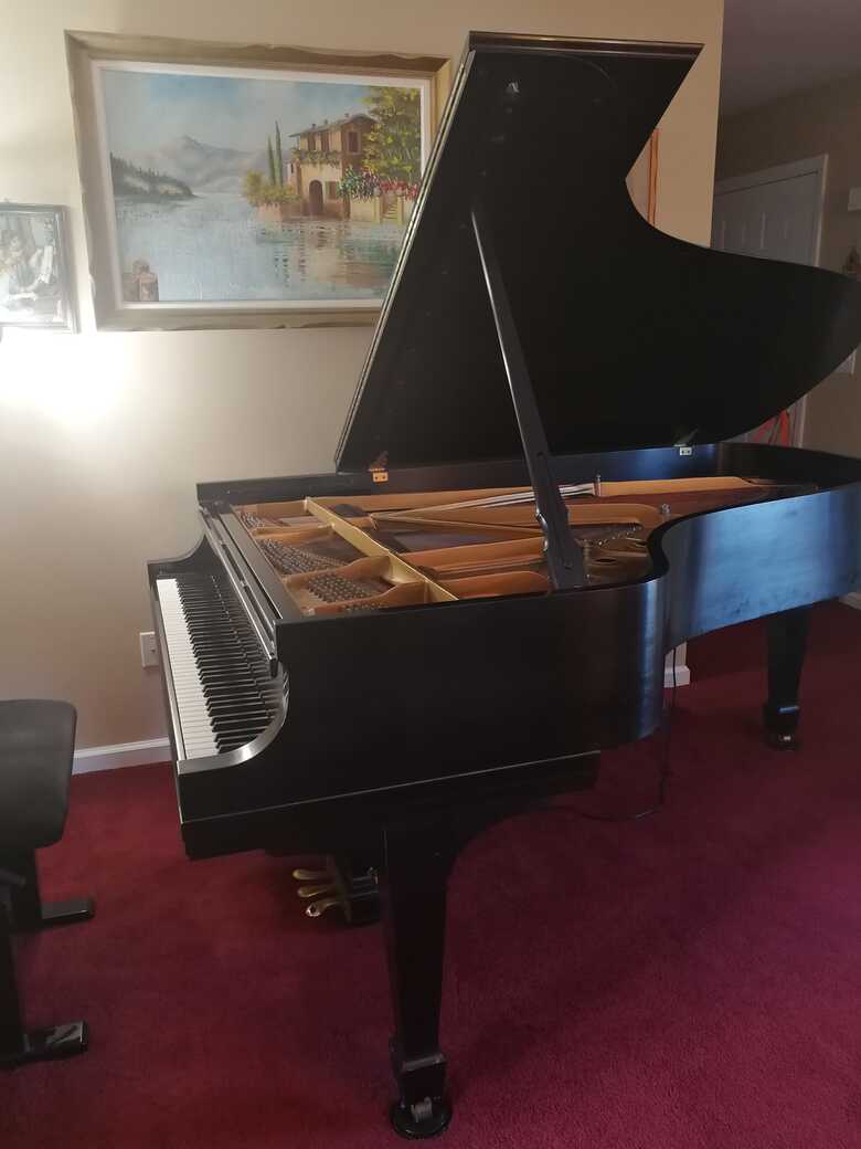 Gorgeous Steinway B Grand Piano in excellent condition